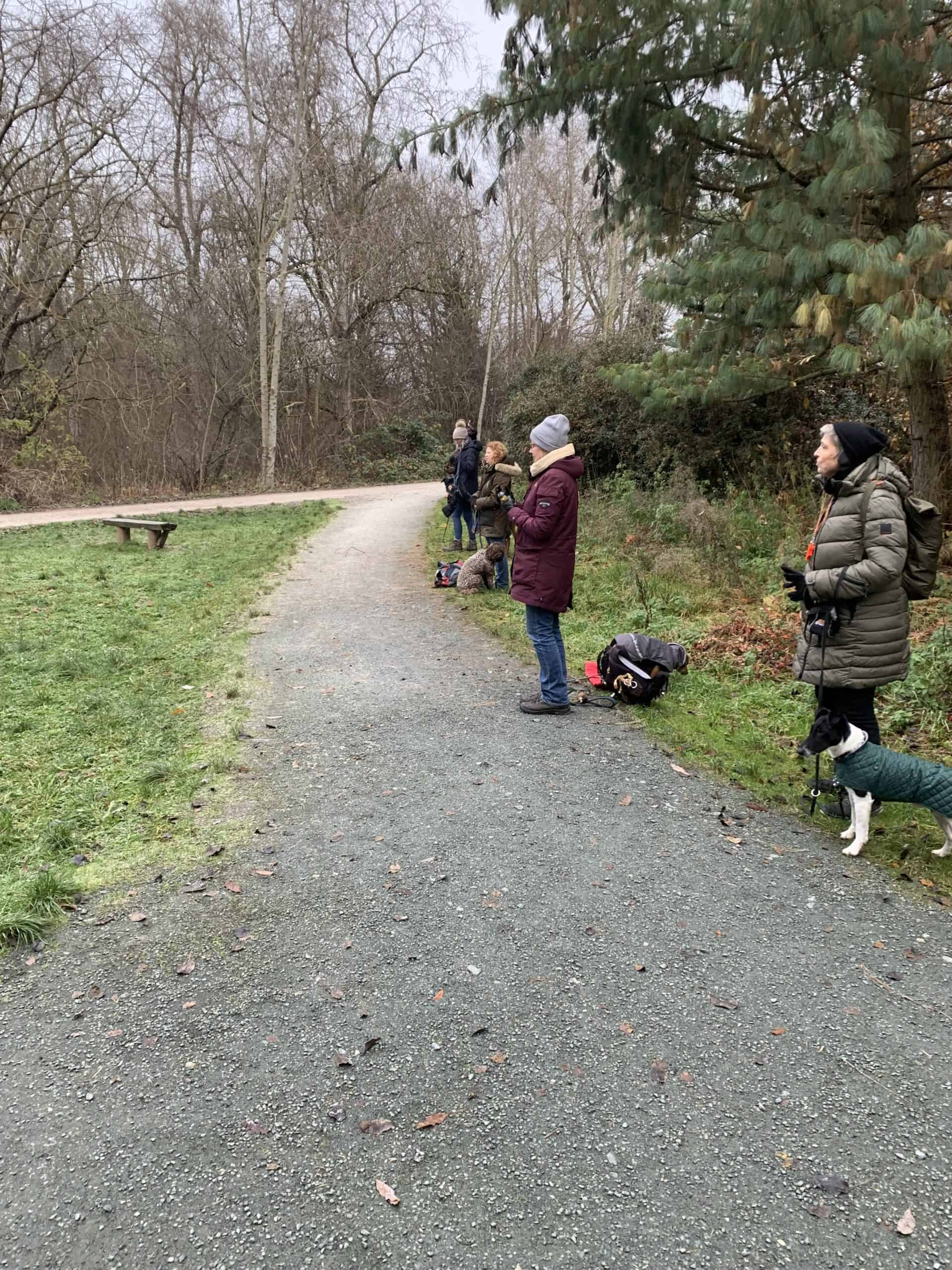 Hundegruppe, Hundetraining, Weggefährten unterwegs, Samira Spinelli, Suchen und Apportieren, Aboretum, Eschborn, Main-Taunus-Kreis, Frankfurt, Fichtlmeier