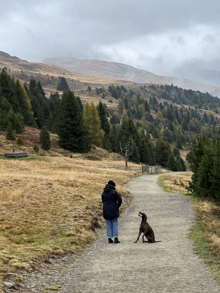 Hund, Frau, Landschaft, Berge, Weggefährten unterwegs, Hundetraining Samira Spinelli