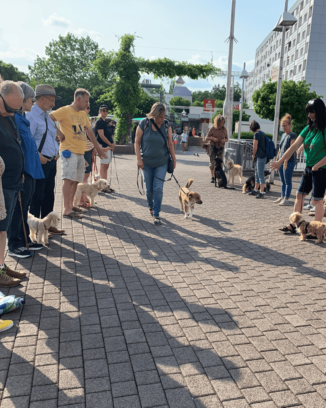 Hundetraining, Hundeschule, Frau mit Hund an der Leine, Hund im Alltag, Hundegruppe, Hunde mit Führung an der Leine