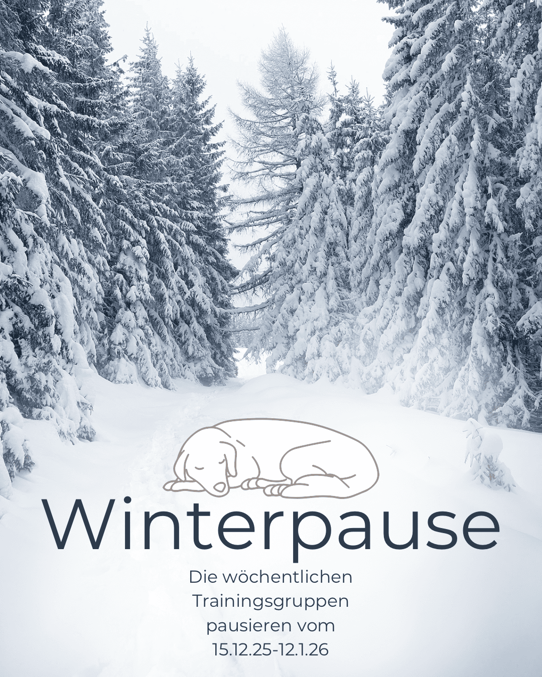 Terminübersicht Hundetraining